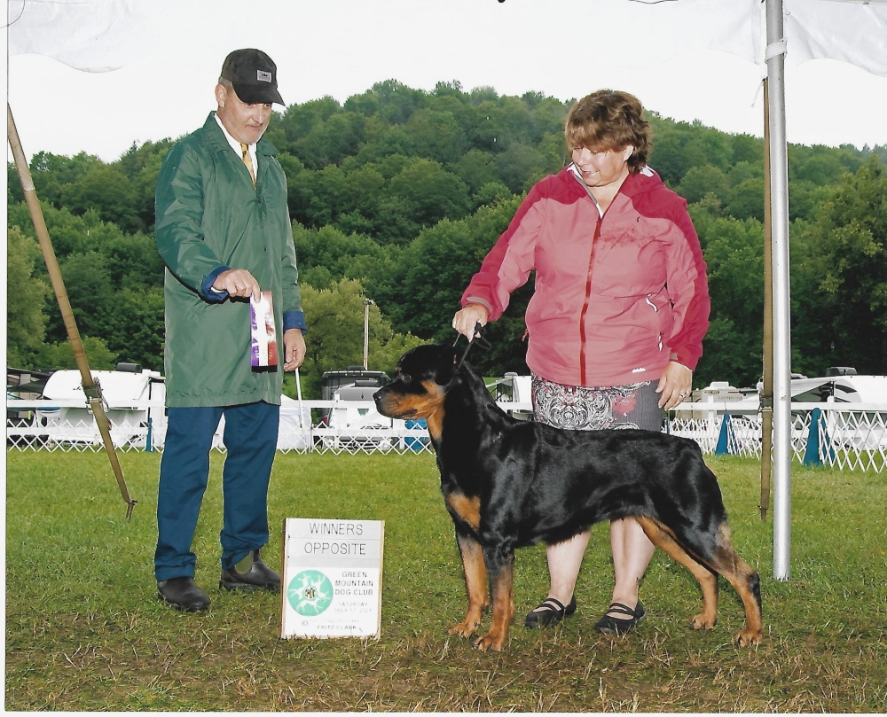 Brandy Hills Rockin Rottweilers Rottweiler Breeders located in